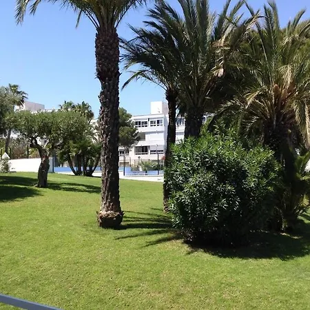 Bonito Piso Frente Al Mar Con Piscina Y Parking Gran Alacant